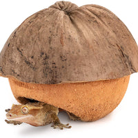Niteangel - Cueva de coco para ocultar y aliviar el estrés y la decoración del hábitat - BESTMASCOTA.COM