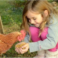 Farm Party - Herbal Hootenanny Nesting Herbs for Chickens (8 Ounces) Keeps Chicken Nesting Boxes Smelling Fresh Using Our All Natural Nesting Box Blend While Keeping Pests Away from the Chicken Coop - BESTMASCOTA.COM