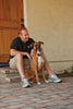 PetSafe Collar básico de control de corteza para perros de 8 libras. y Up, dispositivo de entrenamiento antiladrido, impermeable, corrección estática, canino. - BESTMASCOTA.COM
