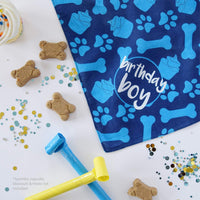 Bandana de cumpleaños para perro, diseño de niño - BESTMASCOTA.COM
