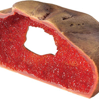 EXO TERRA Cueva de vidrio para reptiles, Medium - BESTMASCOTA.COM