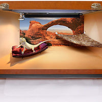 Reptil Habitat fondo, Big arco, 24" x 36", con cuadrados adhesivos - BESTMASCOTA.COM