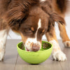 Hyper Pet Lickimat Wobble – Alimentador lento, alivio de ansiedad, buster de aburrimiento (cuenco para perro y gato, perfecto para comida para perros, golosinas para perros, yogur, o mantequilla de maní) - BESTMASCOTA.COM