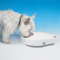 Cat Mate C500 Alimentador automático para mascotas con temporizador digital para gatos y perros pequeños - BESTMASCOTA.COM