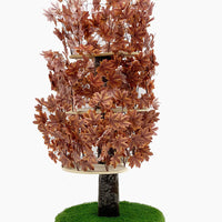 On2Pets Cat Condo Muebles - BESTMASCOTA.COM