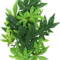 Planta de terrario de plástico, grande, mandarina, Exo Terra, M - BESTMASCOTA.COM