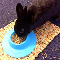 staybowl tip-proof ergonómico Pet Bowl para Conejillo de Indias y otros pequeños mascotas; 1/4-Cup Tamaño; Cielo Azul - BESTMASCOTA.COM
