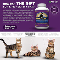 El regalo para la vida para gatos – The Fountain of Youth para Pets – 60 Gourmet Chewable Treats – fabricado en los Estados Unidos - BESTMASCOTA.COM