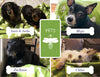 Firefly Collection 59"x63" Oversized Super forro polar de peluche mascota manta mantener tu bebé piel Warm- deje que su cachorro, perro, gato y más acurrucarse durante todo el año - BESTMASCOTA.COM