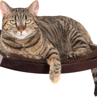 Art of Paws - Cama de perca para gato con diseño de hamaca de gato curvado, elegante mueble de madera montado en la pared, un regalo para tu gato - BESTMASCOTA.COM