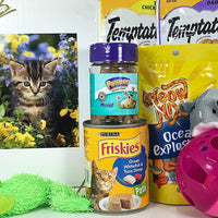 Especialidad cajas de regalo gato cesta de caja de regalo para un favorito felino bebé piel – enviar estos dulces y juguetes para un peludo de gato/Gatito/Kitty amigo. Prime - BESTMASCOTA.COM