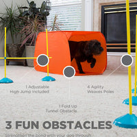 Juego para principiantes de agilidad Zip Zoom para perros, de interior, con túnel, postes para zigzaguear, obstáculos de salto de altura por Outward Hound - BESTMASCOTA.COM