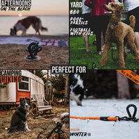SÄKER - Estaca de amarre de alta calidad – anclaje resistente que se adapta a cualquier perro | Corbata para cable de amarre que nunca se oxida, se dobla o se extrae. - BESTMASCOTA.COM