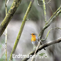 Erdtmanns Snack Bar de Madera para semillas alimentador - BESTMASCOTA.COM
