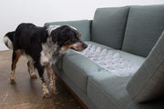 Sofá Guard & Protector de muebles – Keep Perros & Mascotas Segura apagado Muebles (Cantidad 4/Clear) fabricado en EE. UU.. - BESTMASCOTA.COM