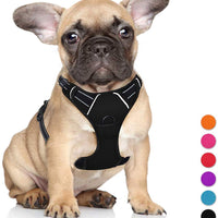 Arnés para perro BARKBAY sin tirones, arnés para perro reflectante con clip frontal y mango de control fácil para caminar, entrenamiento, correr - BESTMASCOTA.COM