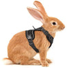 rabbitgoo - Arnés para gato para caminar, a prueba de escape, para gatos pequeños y medianos, arneses ajustables, arnés de malla suave para gatos pequeños, chaqueta de gato segura con tiras reflectantes y 1 anillo de metal - BESTMASCOTA.COM