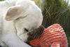 HuggleHounds - Juguete de peluche chirriante para perros con nudos para masticadores agresivos - BESTMASCOTA.COM