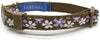 Fantasia Pet Breakaway - Collar para gato - BESTMASCOTA.COM