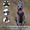 Arnés para perro BARKBAY sin tirones, arnés para perro reflectante con clip frontal y mango de control fácil para caminar, entrenamiento, correr - BESTMASCOTA.COM