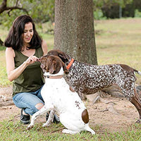 Sancho & Lola Palitos de buey crocantes para perros de 6 o 12 in fabricados en EE.UU., bocadillos de carne boutique libre de grano y alimentado con pasto para perros con alta proteína - BESTMASCOTA.COM