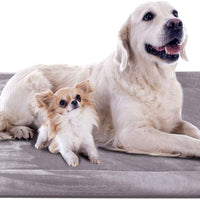 JoicyCo - Cama para perro, almohadilla 35/42/47 en camas lavables, colchón suave para perro, almohadillas antideslizantes para perrera, color de lujo - BESTMASCOTA.COM