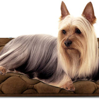 Colchón antideslizante lavable para perros grandes, medianos y pequeños - BESTMASCOTA.COM