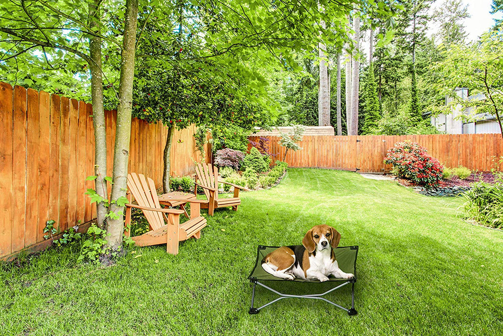 Carlson Pet Products - Cama portátil para mascotas, color verde - BESTMASCOTA.COM
