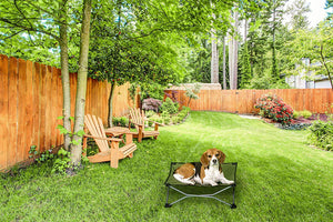 Carlson Pet Products - Cama portátil para mascotas, color verde - BESTMASCOTA.COM
