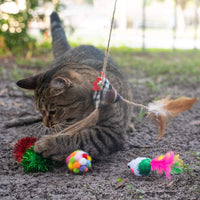 Cat Christmas Stocking Filled with Christmas Cat Toys Gift Set Filled With Quality Interactive Cat Toys Perfect Holiday Gift Set for All Cats Stocking Stuffers Included - BESTMASCOTA.COM