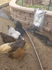 Rascador de gallinas sostenible para mascotas pequeñas, sin OMG, sin maíz, sin soja. Producto de origen local y fabricado en lotes pequeños. 25 lb - BESTMASCOTA.COM