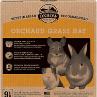 Oxbow Orchard Grass Hay - BESTMASCOTA.COM