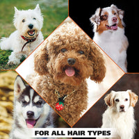 Wahl Champú para perros y mascotas con control de olor, desodorante de animales de eucalipto y menta para limpieza y frescura, 24 onzas - BESTMASCOTA.COM