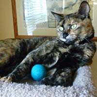 Earthtone Solutions pelotas de fieltro de lana para gatos y gatitos, divertidas, adorables, coloridas, suaves, silenciosas, de fieltro, hechas a mano, naturales, perfectas para amantes de los gatos, suministros de manualidades - BESTMASCOTA.COM