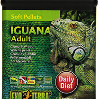 EXO TERRA Soft adulto Iguana Food, 9.1-ounce - BESTMASCOTA.COM