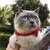 Collar de gato con capucha y pajarita, diseño a cuadros ajustable de seguridad Kitty Kitten Collares (6.8-10.8in) - BESTMASCOTA.COM