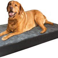 Dogbed4less Cama para perro de espuma viscoelástica, ortopédica, funda impermeable interna y 2 fundas exteriores lavables, varios tamaños, colores - BESTMASCOTA.COM