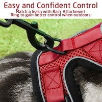 rabbitgoo - Arnés para gato para caminar, a prueba de escape, para gatos pequeños y medianos, arneses ajustables, arnés de malla suave para gatos pequeños, chaqueta de gato segura con tiras reflectantes y 1 anillo de metal - BESTMASCOTA.COM