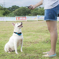 Pet Union PT0Z1 collar de entrenamiento para perros, totalmente impermeable, rango de 1200 pies - BESTMASCOTA.COM
