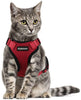 rabbitgoo - Arnés para gato para caminar, a prueba de escape, para gatos pequeños y medianos, arneses ajustables, arnés de malla suave para gatos pequeños, chaqueta de gato segura con tiras reflectantes y 1 anillo de metal - BESTMASCOTA.COM