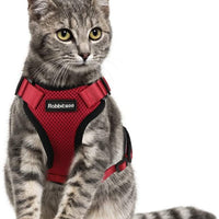 rabbitgoo - Arnés para gato para caminar, a prueba de escape, para gatos pequeños y medianos, arneses ajustables, arnés de malla suave para gatos pequeños, chaqueta de gato segura con tiras reflectantes y 1 anillo de metal - BESTMASCOTA.COM