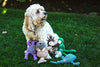 HuggleHounds - Juguete de peluche chirriante para perros con nudos para masticadores agresivos - BESTMASCOTA.COM