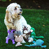 HuggleHounds - Juguete de peluche chirriante para perros con nudos para masticadores agresivos - BESTMASCOTA.COM