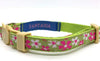 Fantasia Pet Breakaway - Collar para gato - BESTMASCOTA.COM