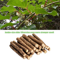 abobo Catnip + Catnip Sticks/Matatabi/Silver Vine Value Set - 100% natural orgánico para limpieza dental de gatos (grado A) - BESTMASCOTA.COM