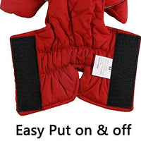 Abrigos reversibles para perros pequeños, impermeables y cálidos de algodón para cachorros para invierno frío, color rojo - BESTMASCOTA.COM