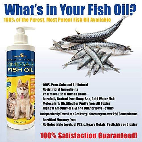 Aceite de salmón para perros y gatos – Piel y pelaje saludables, aceite de  pescado, Omega 3 EPA DHA, suplemento alimenticio líquido para mascotas