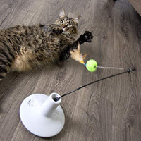 Petlinks Electronic Motion Toys for Cats - BESTMASCOTA.COM