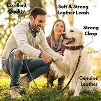 ADITYNA Correa para perro de piel resistente, 6 pies, correa de cuero fuerte y suave para perros extra grandes, grandes y medianos, correa de entrenamiento para perro - BESTMASCOTA.COM