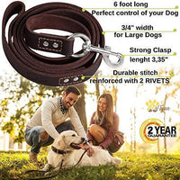 ADITYNA Correa para perro de piel resistente, 6 pies, correa de cuero fuerte y suave para perros extra grandes, grandes y medianos, correa de entrenamiento para perro - BESTMASCOTA.COM